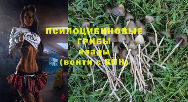 спиды Навашино